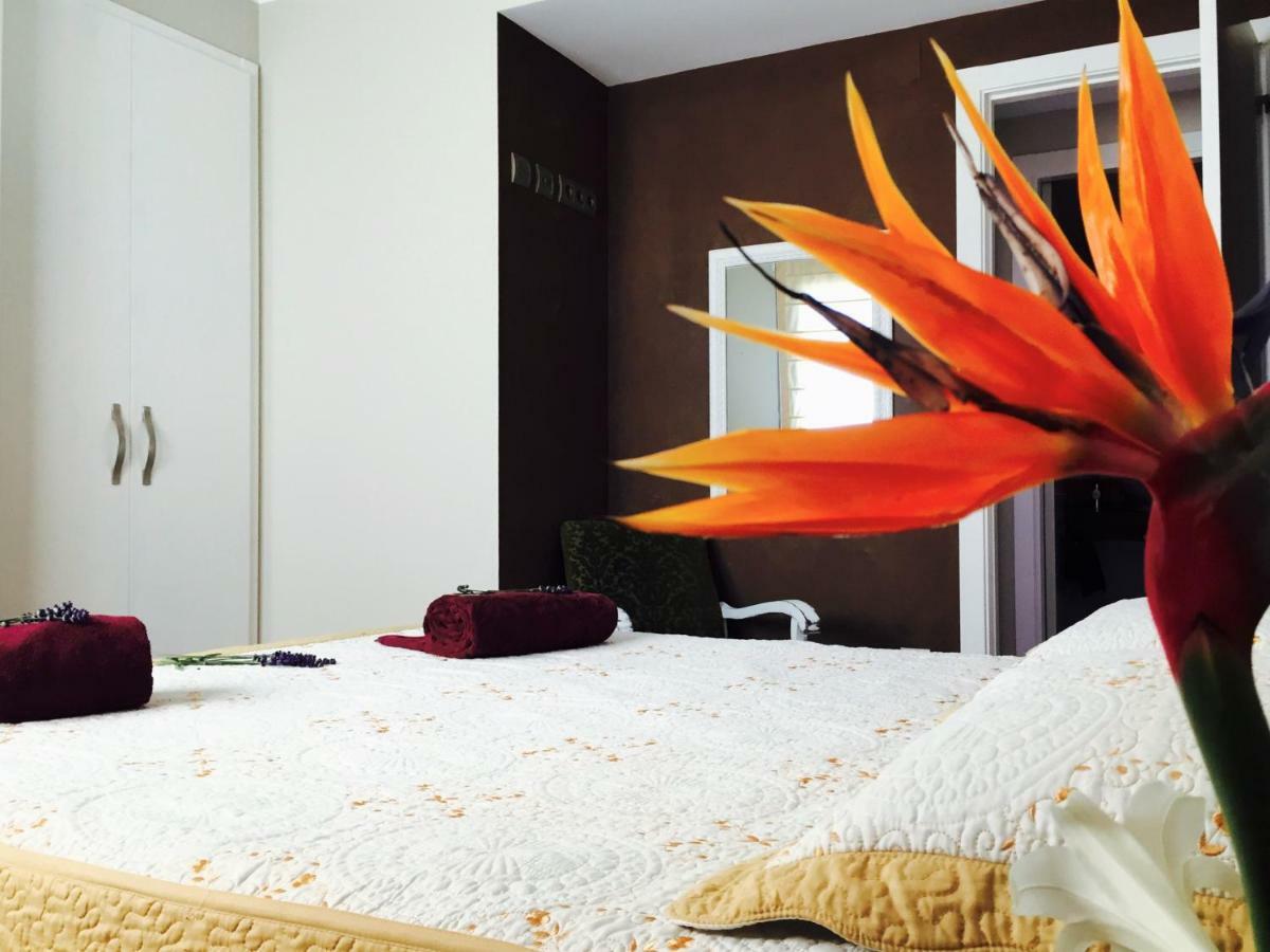Lo Raconet Apartamento Deltebre Exterior foto